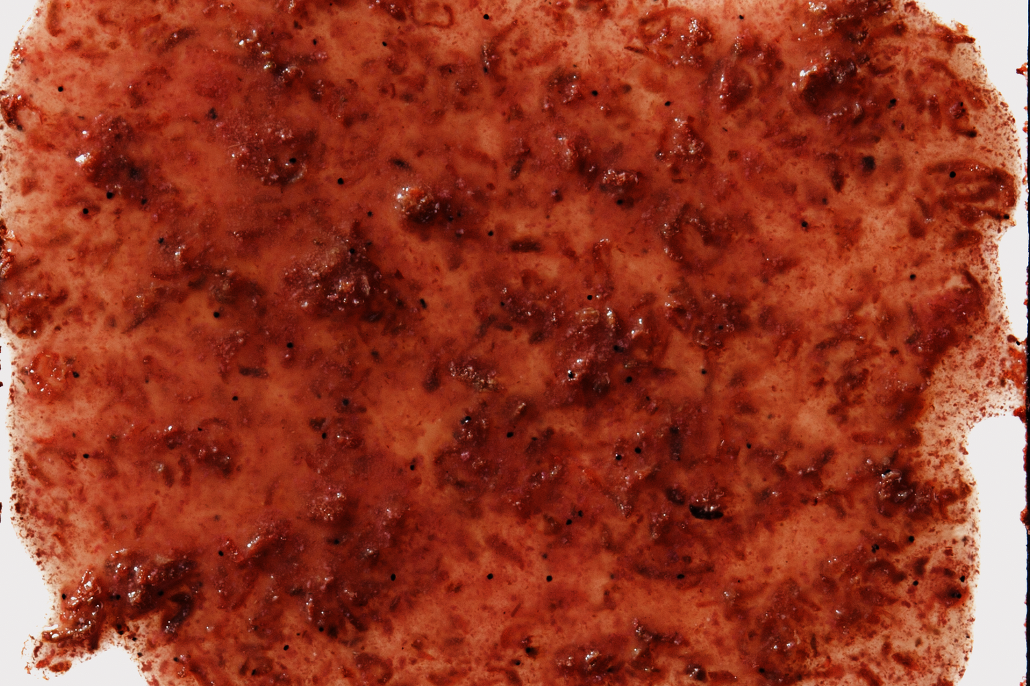 Tetra Fresh Delica Natural Snack Krill
