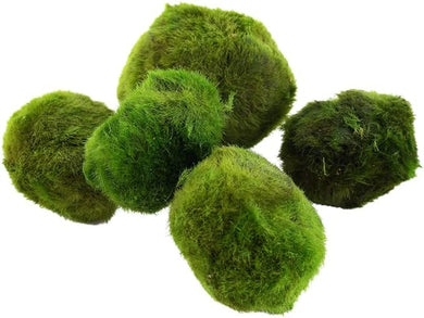 Moss Balls