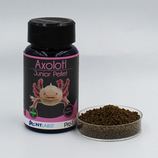 Axolotl Junior Pellett Wirral Aquatics