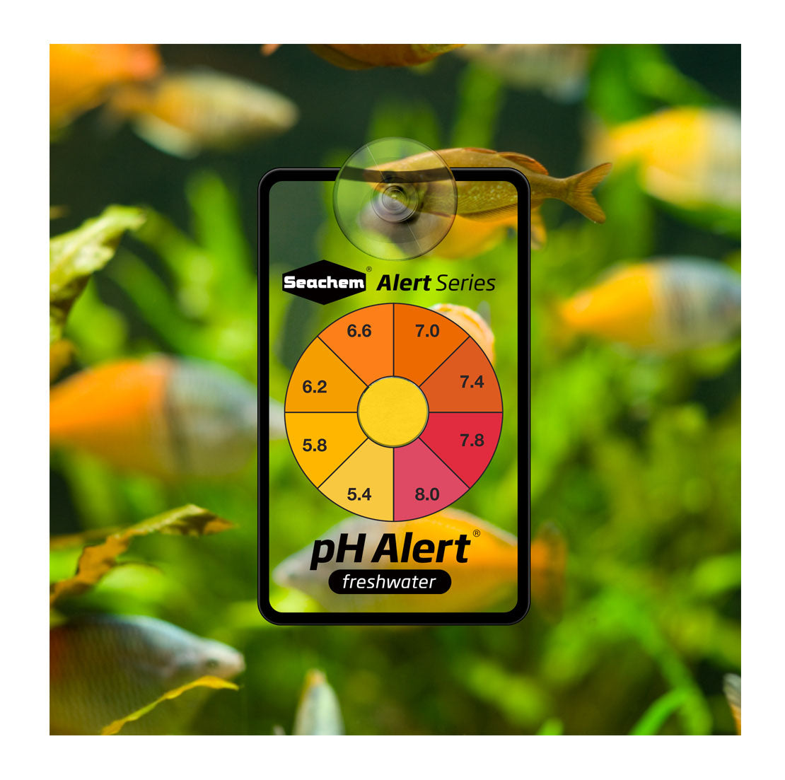 Seachem PH Alert Wirral Aquatics