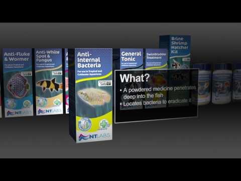NTLabs Aquarium Anti-Internal Bacteria 100ml
