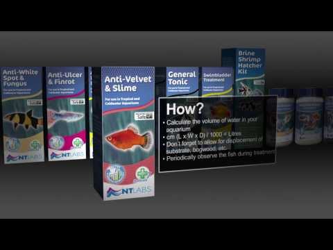 NTLabs Aquarium Anti-Parasite 100ml