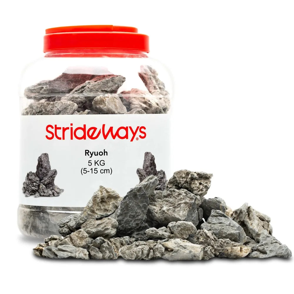 Strideways Ryuoh Stone Bottle 5kg