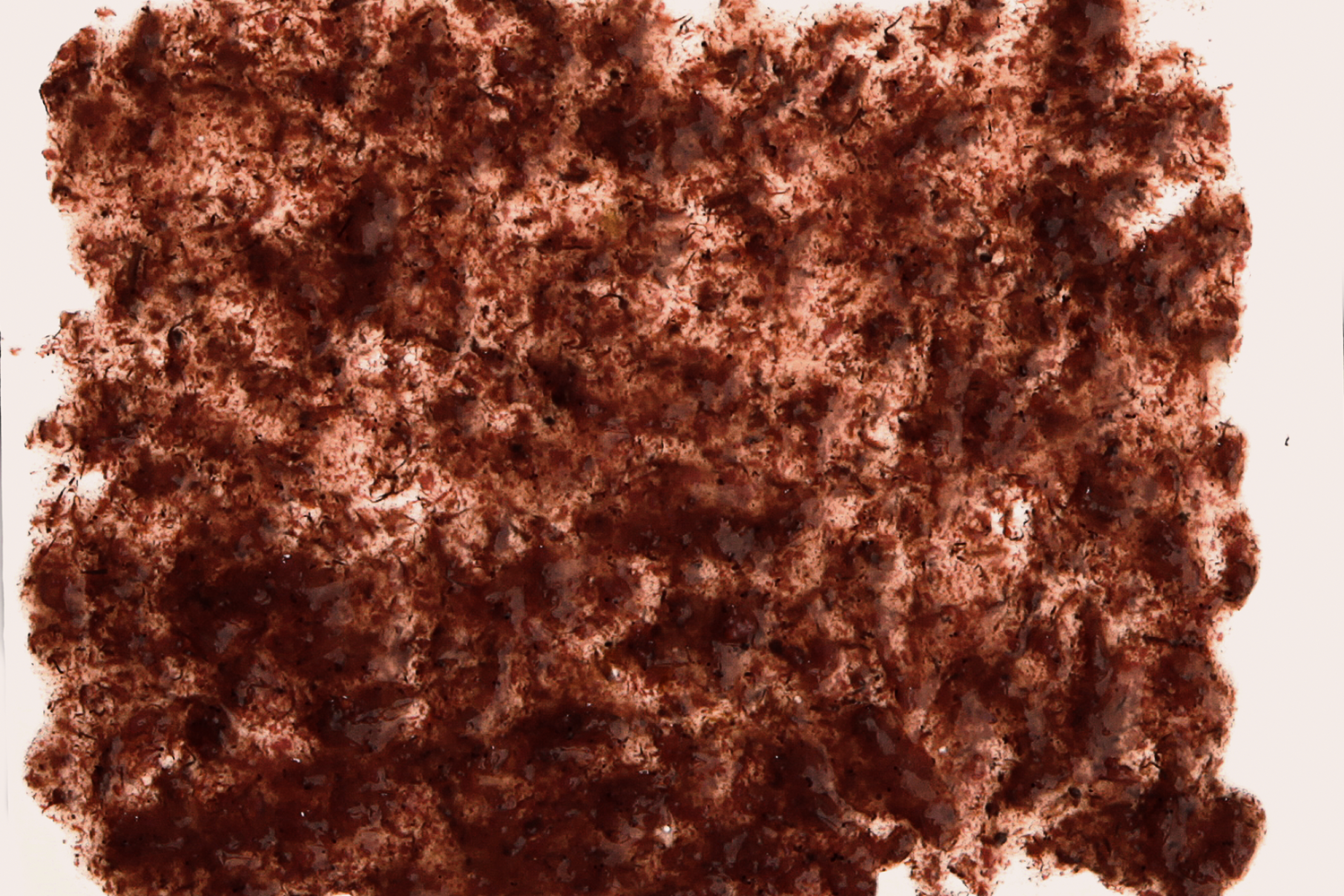 Tetra Fresh Delica Natural Snack Brine Shrimps