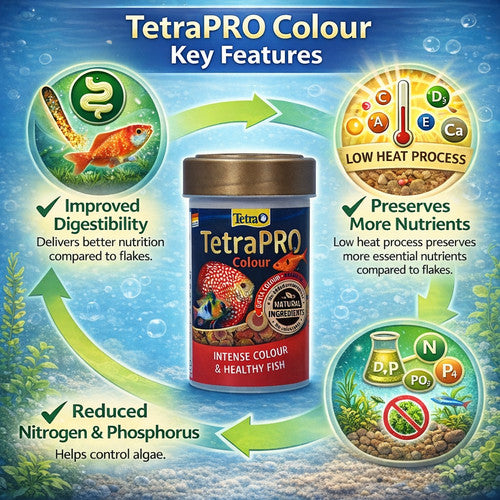 Tetra Pro Colour