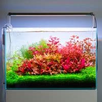 TWINSTAR LIGHT S Range