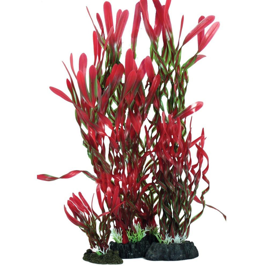Hugo Kamishi Zen garden Corkscrew Val red & green